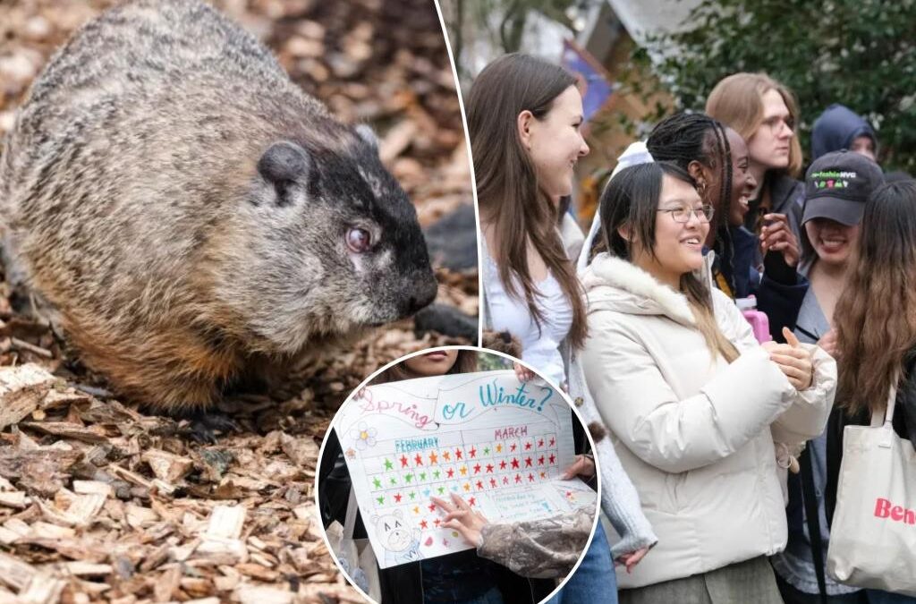 Staten Island Chuck was right! NYC groundhog’s 2025 prediction of an early spring confirmed by student weather trackers